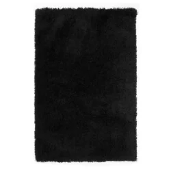 Accent Solid Black Thick Pile Shag, 2x4