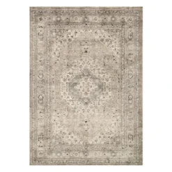 (B500) Xander Ivory & Tan Area Rug, 5x7
