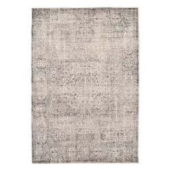 (B741) Firenze Neutral Traditional Area Rug, 5x7