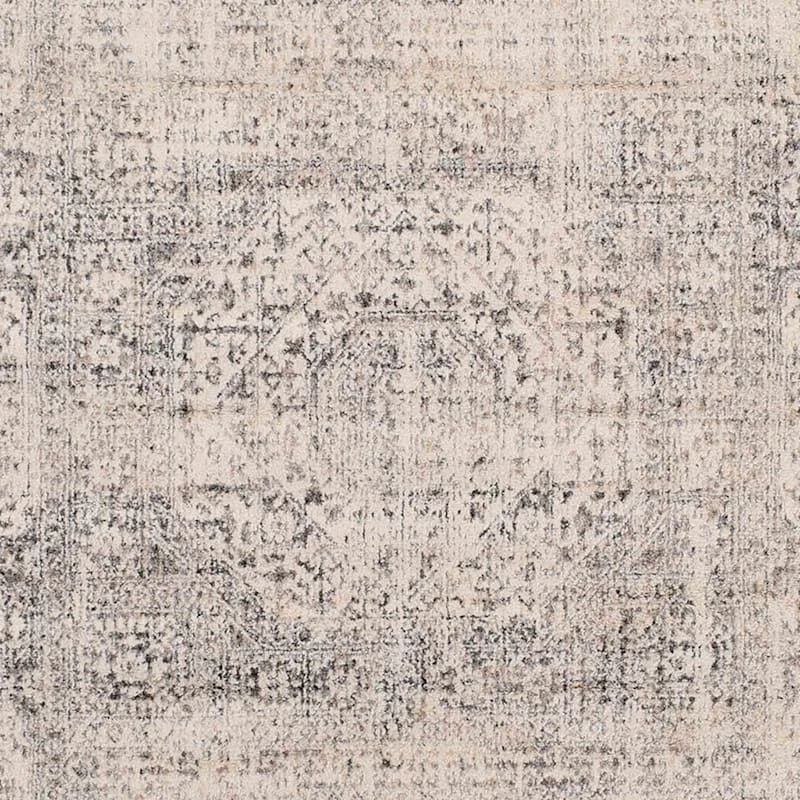(B741) Firenze Neutral Traditional Area Rug, 5x7 2 (B741) Firenze Neutral Traditional Area Rug, 5x7 - Image 2