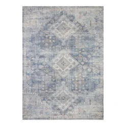 (B822) Whittington Blue Floral Medallion Area Rug, 5x7