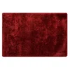 (C197) Eve Red Shag Accent Rug, 3x5