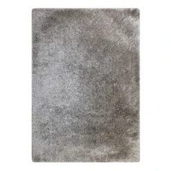 (C199) Eve Silver Shag Area Rug, 6x9
