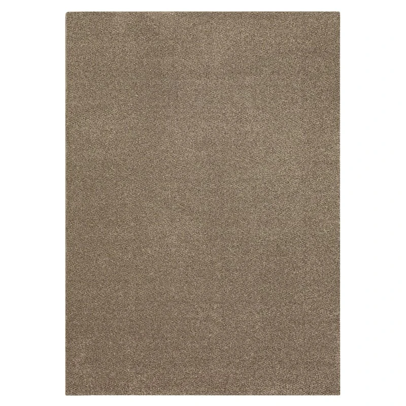 CARPET REMNANT ASST 5X7 1 CARPET REMNANT ASST 5X7