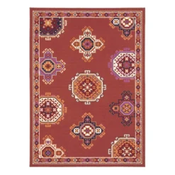 (D538) Lingonberry Multicolor Area Rug, 7x9