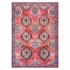 (D565) Freya Red & Blue Medallion Washable Area Rug, 5x7