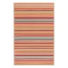(E309) Scope Multicolor Striped Woven Indoor & Outdoor Area Rug, 5x7