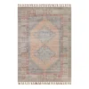 (E336) Honeybloom Anna Vintage Medallion Fringe Outdoor Area Rug, 5x7