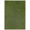 Indoor & Outdoor Artificial Grass, 5x7
